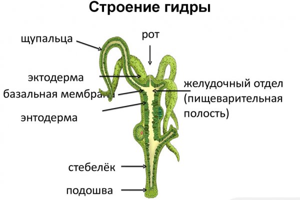 Кракен актуальное зеркало